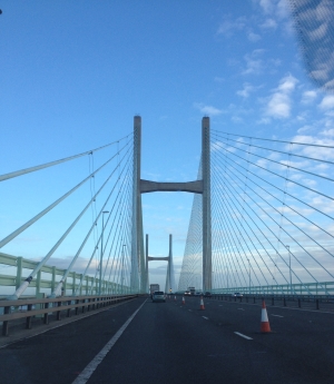Bridge Management Software